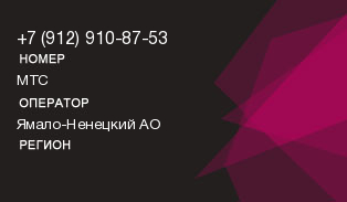 9129108753